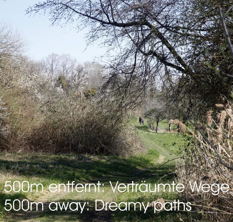 Passivhaus 750M Vom Bodensee -- 2X E-Bike Inklusive -- Neubau 2019 Am Ortsrand 厄赫宁根 外观 照片